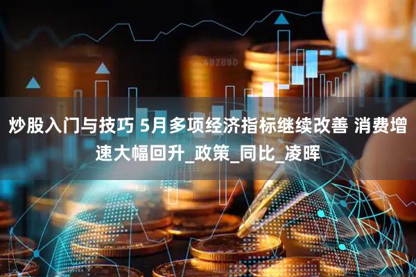 炒股入门与技巧 5月多项经济指标继续改善 消费增速大幅回升_政策_同比_凌晖
