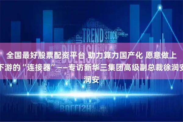 全国最好股票配资平台 助力算力国产化 愿意做上下游的“连接器”——专访新华三集团高级副总裁徐润安